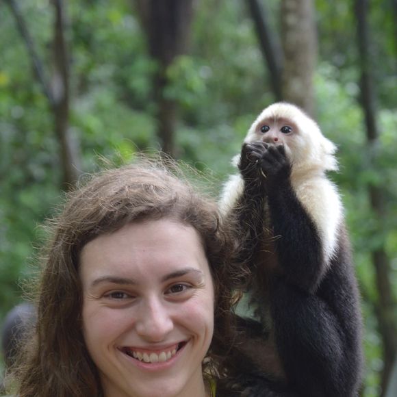 azabuey